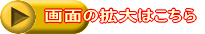 ʂ̊g͂