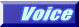 Voice